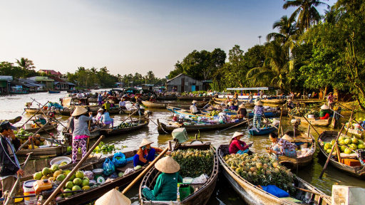 Những cung đường hoa trái miền sông nước