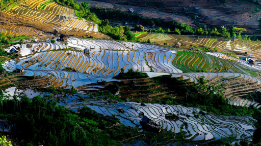 Những mảnh gương trong dưới trời Tây Bắc