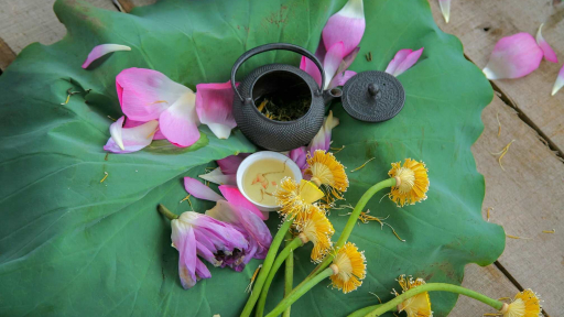 Trà sen, một thoáng tinh hoa Tây Hồ