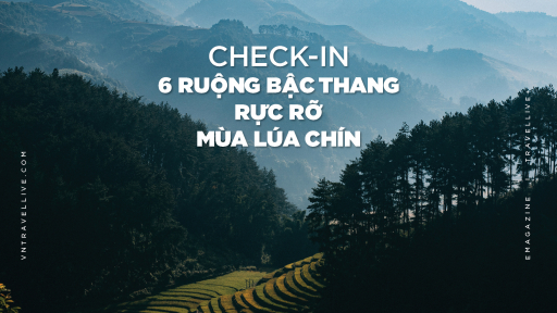 Check-in 6 ruộng bậc thang mùa lúa chín