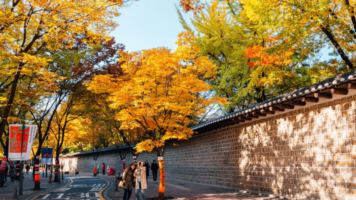 Mùa thu Seoul khiến bao người thương nhớ