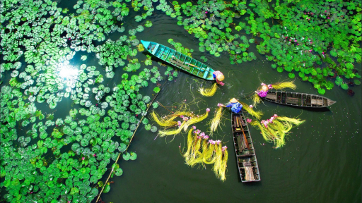 Đã nghe thu gọi mùa nước nổi miền Tây