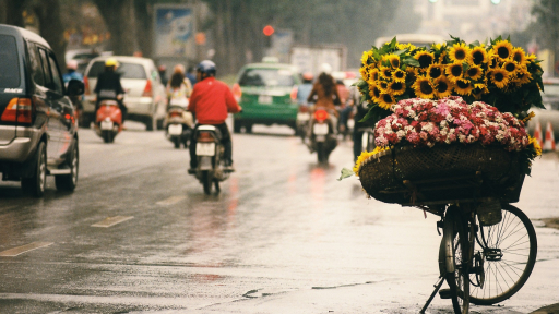 Những điểm đến lý tưởng của mùa thu VN