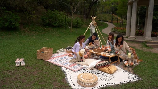 Dã ngoại ở Hong Kong thời Covid-19