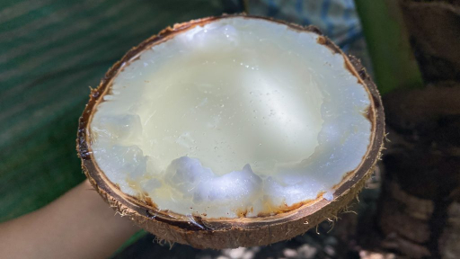 Cách ăn dừa sáp chuẩn vị miền Tây