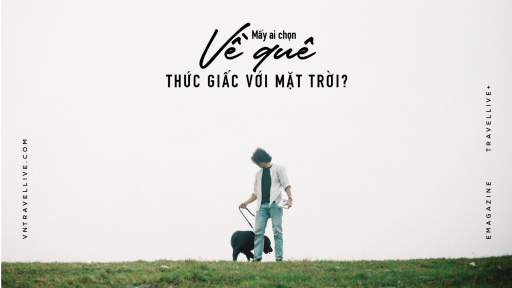 Mấy ai chọn về quê...