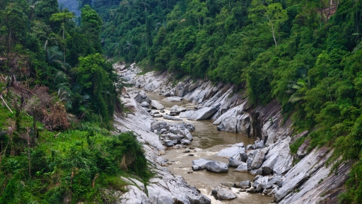 Về thượng nguồn sông Tranh