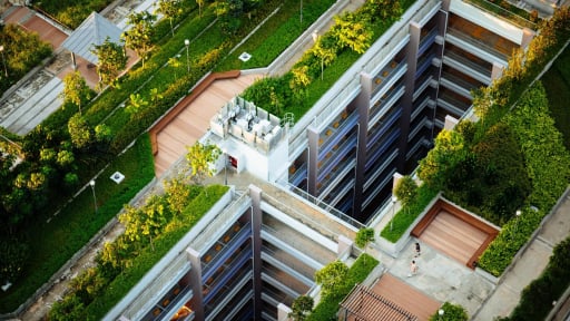 Nơi đầu tiên ra quy định trồng cây trên nóc nhà