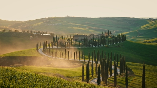 Mùi hương bình yên dưới nắng vàng Tuscany