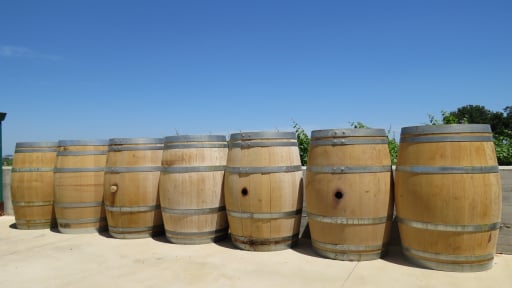 Khám phá vùng trồng nho làm rượu vang nổi tiếng thế giới Abruzzo (Italy)