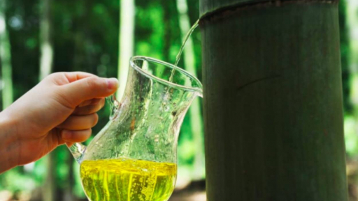 Rượu được ủ trong ống tre tươi ở Trung Quốc