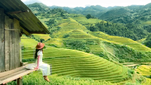 Lên Mù Cang Chải ngắm ruộng bậc thang mùa lúa chín