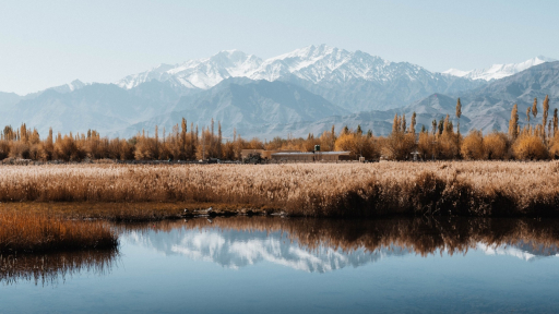 Nắng và tuyết nhuộm hoàng hôn Ladakh