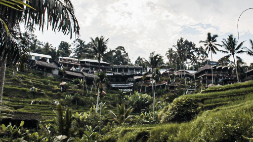 Giải mã sức hút Bali: Vẻ đẹp hòa quyện của niềm tin và tình yêu thiên nhiên