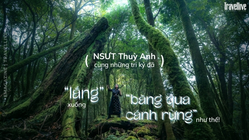 NSƯT Thuỳ Anh  cùng những tri kỷ đã “Lắng” xuống  và “Băng qua cánh rừng” như thế!