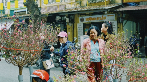 Chợ hoa Hàng Lược, nơi mỗi năm chỉ họp duy nhất một lần ở Thủ đô