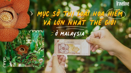 Mục sở thị loài hoa hiếm và lớn nhất thế giới ở Malaysia