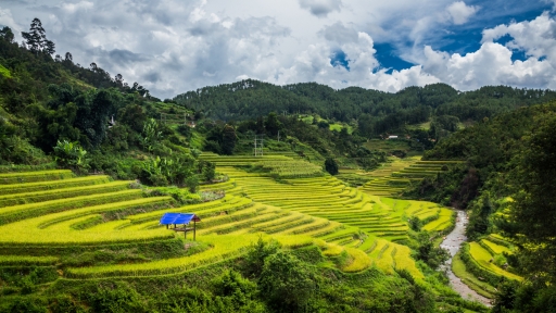 Việt Nam giữ vững danh hiệu “Điểm đến Di sản hàng đầu thế giới”