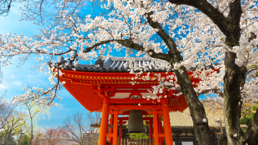Shikoku Henro, cung đường hành hương lâu đời nhất thế giới ở xứ Phù Tang