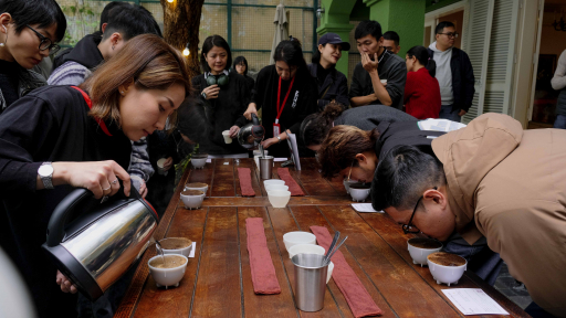 Mang cà phê Robusta đi khắp Việt Nam