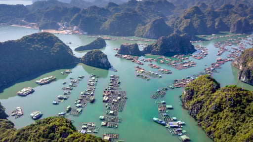 Du khách Nga 'đổ bộ' Việt Nam, nhu cầu du lịch tăng trưởng ấn tượng