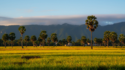 An Giang qua ống kính của người con xứ sở