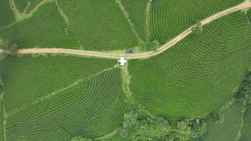 4 điểm du lịch hấp dẫn tại Phú Thọ dịp giỗ Tổ Hùng Vương