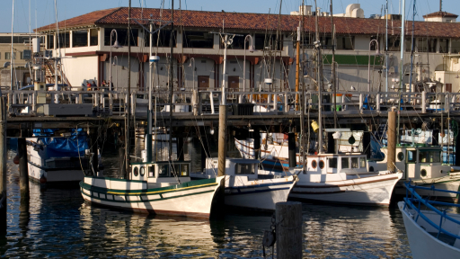 Trải nghiệm nhịp sống ven biển nước Mỹ tại Fisherman's Wharf