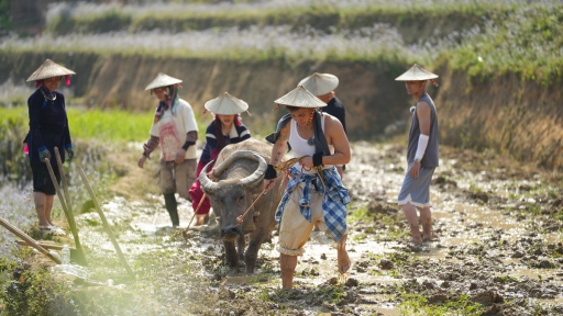 Lên thăm một Tây Bắc thắm đượm tình người cùng show truyền hình thực tế “Gia đình Haha”