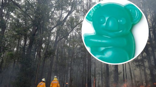 Lush ra mắt xà phòng hình koala