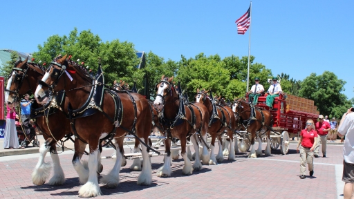 Khám phá thủ phủ Denver, Hoa Kỳ