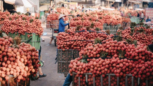 4 điểm dừng chân khi đến thủ phủ vải thiều Bắc Giang