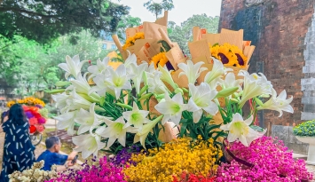 Hoa loa kèn - Món quà tháng Tư của Hà Nội