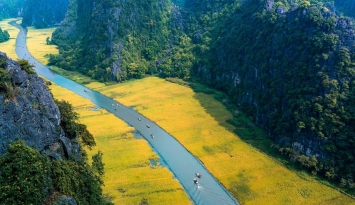 Ngô Đồng, dòng sông không có bờ