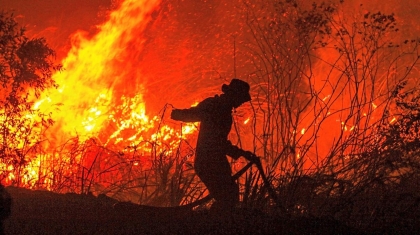 Từ cháy rừng Indonesia đến ô nhiễm ĐNA