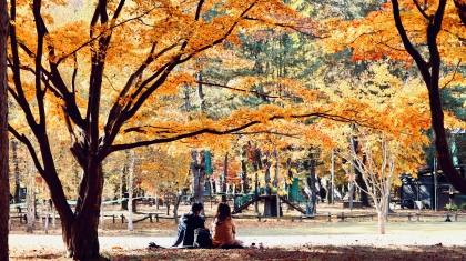 Tất tần tật kinh nghiệm du lịch Hàn Quốc vào mùa thu