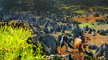 Phát hiện nhiều di tích khảo cổ ở Cao nguyên đá Đồng Văn 