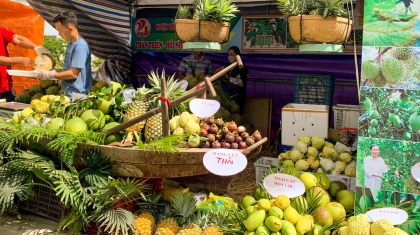Tuần lễ trái cây 'Trên bến dưới thuyền', khám phá trái cây miệt vườn Nam Bộ
