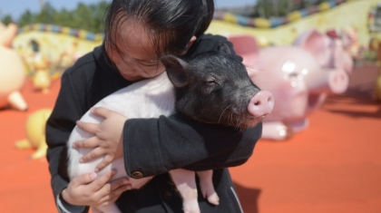 Công viên 'Hành tinh Lợn' ở Trung Quốc