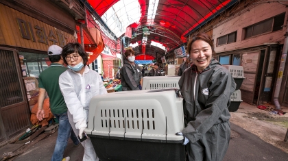 Hàn Quốc đóng cửa chợ thịt chó lớn nhất