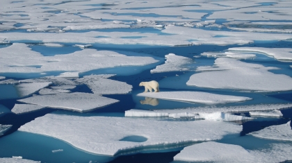 Những dòng sông băng đã bắt đầu biến mất