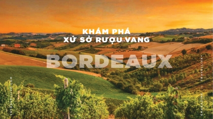 Khám phá xứ sở rượu vang Bordeaux