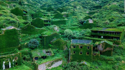 Ngôi làng hoang ngập chìm trong rêu xanh