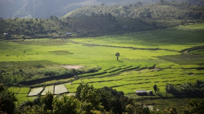 Đến Kon Tum khám phá ruộng bậc thang Măng Ri