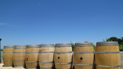 Khám phá vùng trồng nho làm rượu vang nổi tiếng thế giới Abruzzo (Italy)