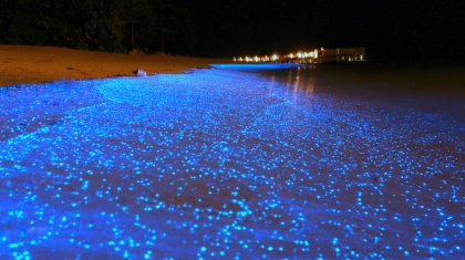 Ảo ảnh bãi biển ma thuật ở Maldives