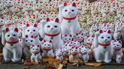 Đến thăm ngôi đền có hàng nghìn tượng mèo thần tài ở Nhật