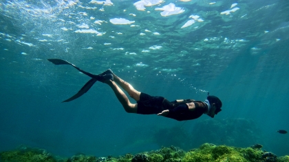 Theo chân hướng dẫn viên bản địa trải nghiệm lặn ngắm san hô ở đảo Phú Quý