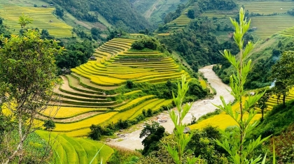 Lượng tìm kiếm về du lịch Việt Nam tăng trưởng tốp đầu thế giới