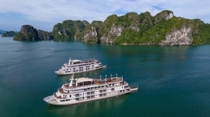 Du thuyền Paradise Vietnam - Trải nghiệm thượng hạng tại kỳ quan Hạ Long